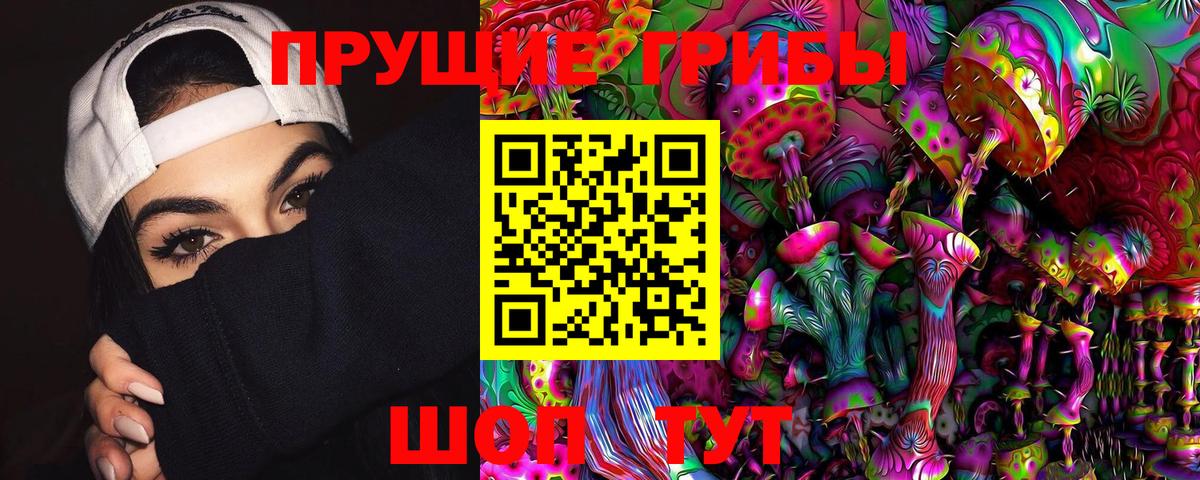 Псилоцибиновые грибы Magic Shrooms  Псилоцибиновые грибы Psilocybine cubensis  как найти закладки  Северобайкальск  Вход с VPN 